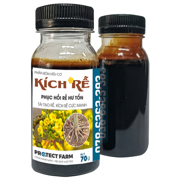 Kích Rễ Nano Mai Vàng, Hũ 70g, Dạng kem siêu đậm đặc