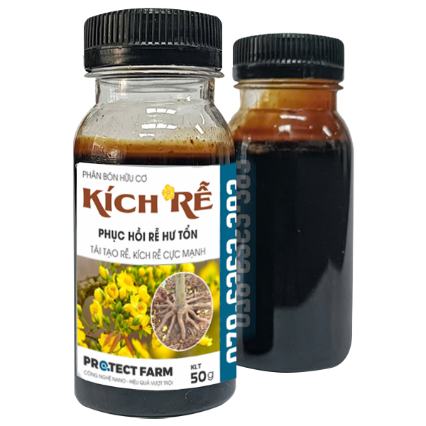 Kích Rễ Nano Mai Vàng, Hũ 50g, Dạng kem siêu đậm đặc