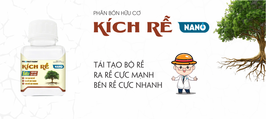 kich r nano nhan