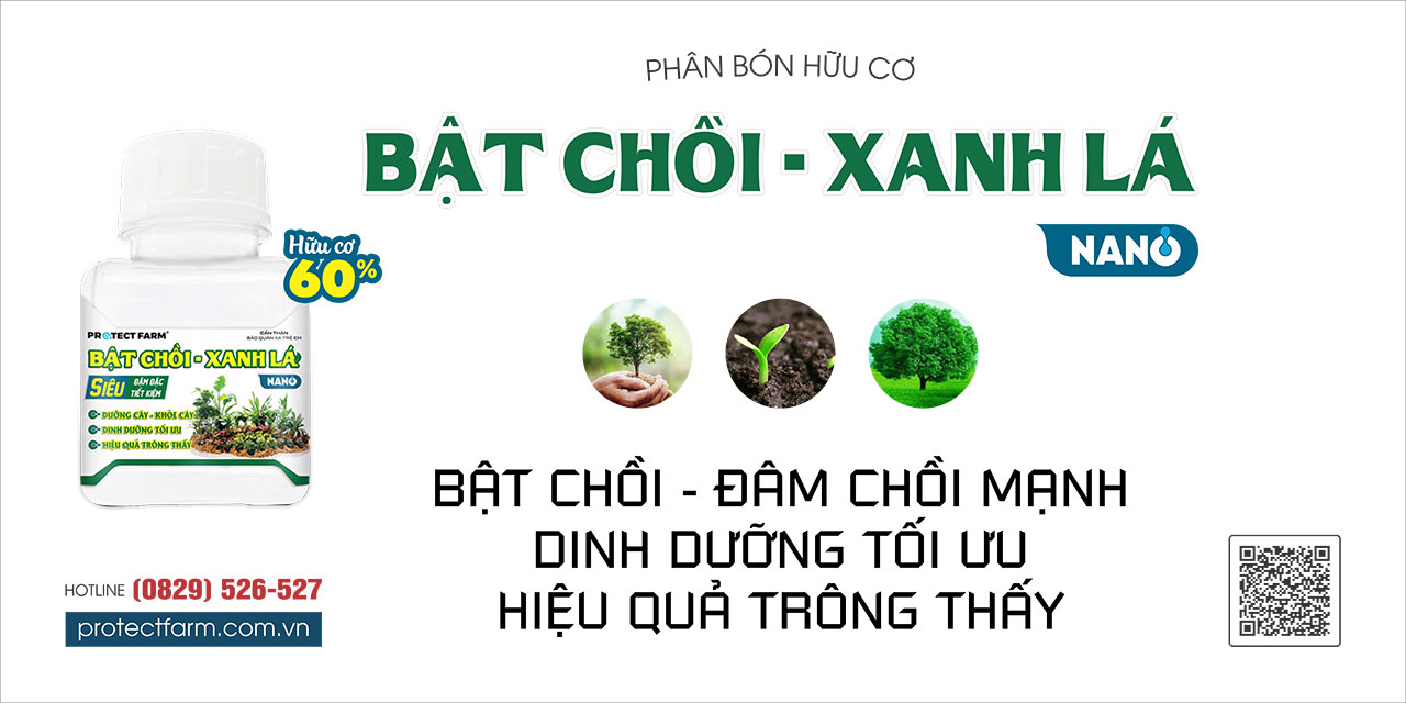 bt chi xanh la nhan